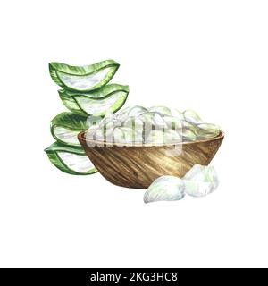 L'aloe vera pelé et haché dans un bol en bois. Illustration aquarelle. Pour les étiquettes et l'emballage de la cosmétologie, de la parfumerie et de la médecine. Également pour Banque D'Images