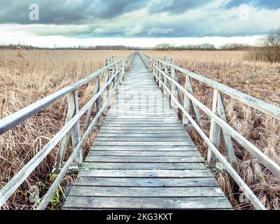 Promenade autour du Federsee, Bad Buchau Banque D'Images