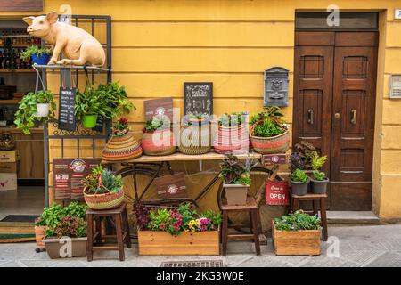 Boutique sur la rue principale (via Vittorio Emanuele) dans la vieille ville historique de Castiglione del Lago, province de Pérouse, Ombrie, Italie Banque D'Images