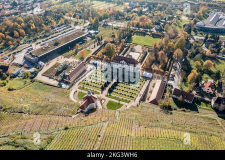 Vue aérienne sur le vignoble et le château de Wackerbarth avec Belvedere, Radebeul près de Meissen, Allemagne Banque D'Images