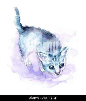 Belle illustration d'un joli chaton gris curieusement look. Aquarelle, peinte à la main avec texture papier. Ambiance de Noël. Isolé sur bg blanc. Banque D'Images