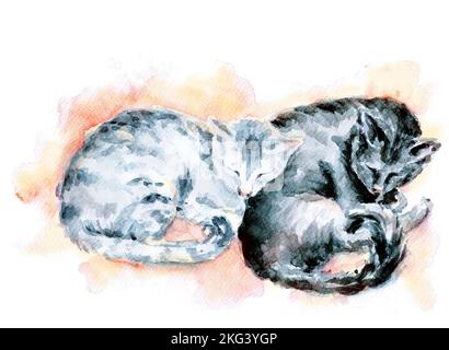 Illustration d'un couple mignon qui dormait des chats. Format horizontal, aquarelle, peint à la main avec texture papier. Ambiance chaleureuse. Isolé sur bg blanc. Banque D'Images