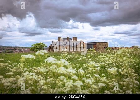 Whitby - 23 mai 2022 : Abbaye gothique de Whitby, Angleterre. Banque D'Images