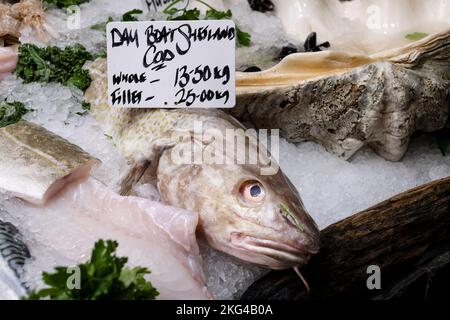 Un grand bateau frais Shetland a pêché du poisson de morue à vendre sur un marché. le poisson est entier et affiché sur la glace avec une étiquette de prix. Banque D'Images