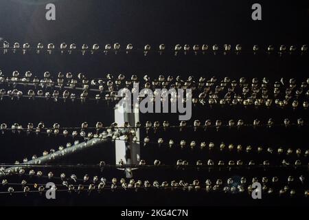 Yogyakarta, Indonésie. 21st novembre 2022. Un troupeau de la Cygne asiatique (Hirundo Rustica) perche sur un câble dans la région de Gondomanan. La ville de Yogyakarta est une destination de migration pour les troupeaux de cerfs-volants asiatiques, dans les hémisphères du nord tels que la Sibérie, la Russie, la Mongolie et la Chine sont des zones de reproduction pour ces oiseaux. (Photo par Angga Budhiyanto/SOPA Images/Sipa USA) crédit: SIPA USA/Alay Live News Banque D'Images