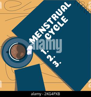 Affiche indiquant le cycle menstruel. Concept signifiant cycle mensuel de changements dans les ovaires et la muqueuse de l'utérus Banque D'Images