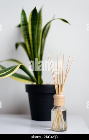 diffuseur d'arôme bâton de bois pour la maison près du pot de fleurs Banque D'Images