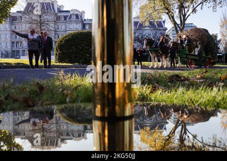 Washington, États-Unis. 21st novembre 2022. Les gens participent à l'arrivée de l'arbre de Noël de la Maison-Blanche sur le Portico nord de la Maison-Blanche à Washington, DC, sur 21 novembre 2022. (Photo d'Oliver Contreras/Sipa USA) Credit: SIPA USA/Alay Live News Banque D'Images