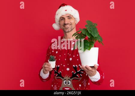 Pot de conservation de Santa avec plante. Homme en vacances chandail et chapeau de père Noël sur fond de studio. Solde de Noël ou offre spéciale hiver. Banque D'Images