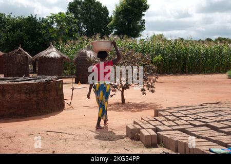 Cour africaine, Adjahonme, Couffo, Bénin - des briques s'assèchent et une femme transportant de l'eau sur sa tête, des huttes de boue et d'autres structures. Champ de maïs Banque D'Images