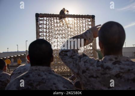 Un instructeur de forage du corps des Marines des États-Unis avec Fox Company, 2nd Recruit Training Battalion, démontre un obstacle pendant le cours de confiance au corps des Marines Recruit Depot San Diego, 31 octobre 2022. Le cours de confiance est composé d'une série d'obstacles construits pour tester l'endurance et la force physiques et mentales des recrues. Banque D'Images