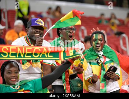 Doha -Qatar, 21 novembre 2022, coupe du monde du Qatar , match entre les équipes nationales du Sénégal et des pays-Bas au stade Al Thumama Banque D'Images