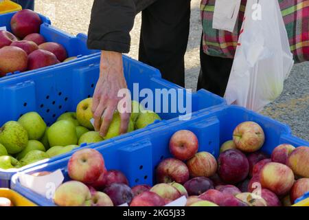 Le client choisit Apple. Farmers Market, Oak Park, Illinois. Banque D'Images