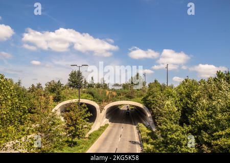 Pont terrestre au-dessus de deux tunnels sur l'autoroute divisée avec des voitures traversant et beaucoup d'arbres verts et de grands réverbères à Tulsa Oklahoma USA Banque D'Images