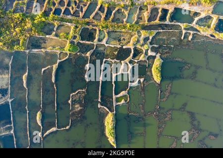 Vue de dessus des arbres verts et de l'eau, photographie d'un marais de drone ou marécage il est situé entre la terre et l'eau saumâtre qui est régulièrement inondé par les marées. Banque D'Images