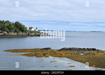 Un phare blanc et une maison de gardien se trouvent sur une pointe de terre qui joit dans la mer ; l'algue dorée couvre des rochers au premier plan Banque D'Images