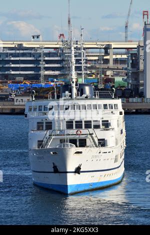 Préfecture de Kanagawa, Japon - 09 janvier 2021 : navire à passagers ROYALWING (OMI : 5197901). Banque D'Images