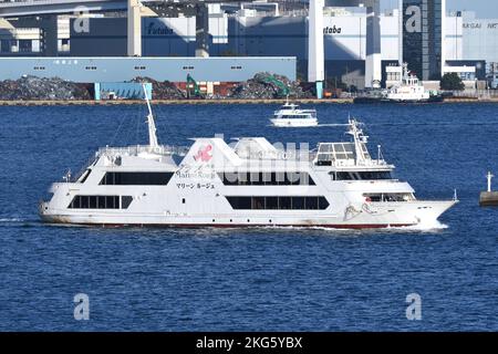 Préfecture de Kanagawa, Japon - 09 janvier 2021 : NAVIRE À passagers MARINE ROUGE (OMI : 9041394). Banque D'Images