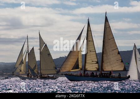 Courses de voiles de Saint-Tropez Banque D'Images