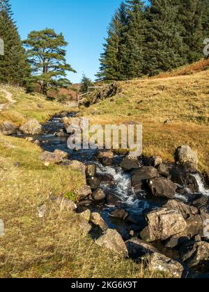 Le tumulte ruisseau Bleamoss Beck s'écoule de Blea Tarn et descend dans Little Langdale dans le district des lacs anglais, Cumbria, Angleterre, Royaume-Uni Banque D'Images