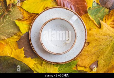 gobelet en proselen vide reposant sur des feuilles réelles. café et thé servis. Concepts et couleurs d'automne. Banque D'Images