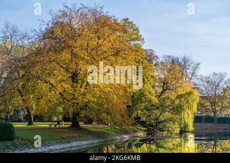 Reflets d'arbres dans le lac. Parcs à l'automne. Schloss Ahaus en Allemagne. Banque D'Images