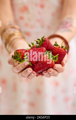 Dégustez de délicieux fruits. un bouquet de fraises entre les mains des femmes. Banque D'Images