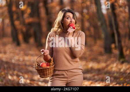 Plus taille bonne femme dans la forêt de chênes en automne, avec un panier de pommes pour pique-nique Banque D'Images