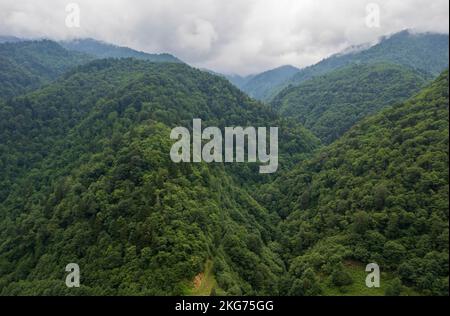 Vue panoramique aérienne de montagnes brumeuses et de forêts. Camlihemsin, Rize, Turquie Banque D'Images