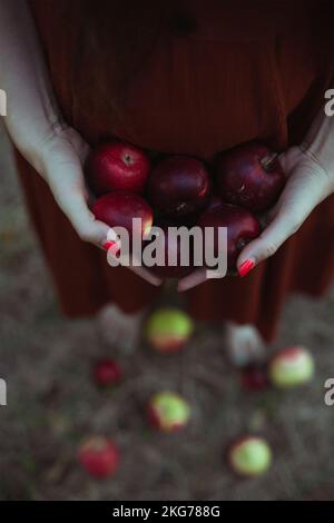 Gros plan dame tenant des pommes rouges photo concept Banque D'Images