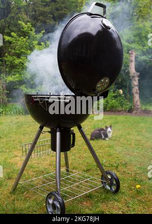 Barbecue dans le jardin. Heure du gril et de la fête.concept de la nourriture et de l'heure de la famille. Faites la fête dans le jardin d'été Banque D'Images
