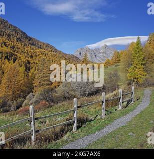 France, Hautes-Alpes, Névache, paysage en automne, vallée de la Clarée, site naturel classé Banque D'Images