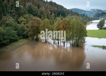 Inondation éclair d'un ruisseau de montagne ou d'une rivière qui s'écoule rapidement de la forêt et débordent de la zone environnante du champ, vue aérienne. Banque D'Images