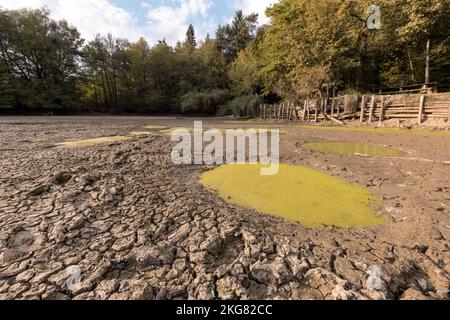 Des flaques remplies d'eau boueuse sale sur un sol sec et fissuré entouré de forêts vertes, pendant la saison de sécheresse Banque D'Images