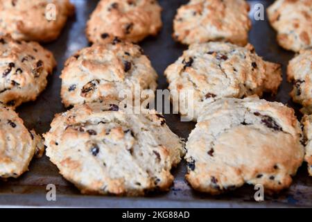 Rock cakes refroidissement sur le plateau en fil de cuisine Hook Norton Oxfordshire Angleterre royaume-uni Banque D'Images