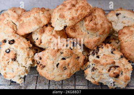 Rock cakes refroidissement sur le plateau en fil de cuisine Hook Norton Oxfordshire Angleterre royaume-uni Banque D'Images