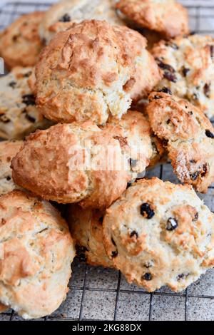 Rock cakes refroidissement sur le plateau en fil de cuisine Hook Norton Oxfordshire Angleterre royaume-uni Banque D'Images