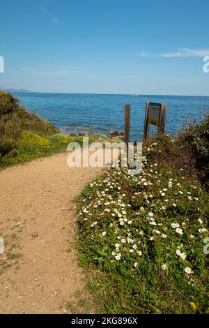 Sentier côtier de Saint-Tropez bordé de fleurs avec vue sur la mer entre les plages de Moutte et Salins Banque D'Images