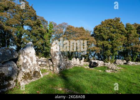 DIN Lligwy, village de pierre près de Moelfre, Anglesey, pays de Galles du Nord. Banque D'Images