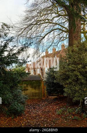 Scène d'automne (automne) en Angleterre. Arbres et feuilles tombées au premier plan encadrent les maisons derrière. Arbres et maisons à l'automne (automne) à Beckenham, Royaume-Uni Banque D'Images