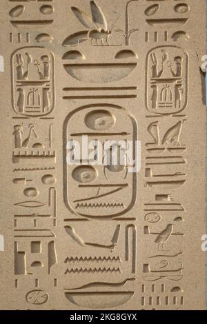 Égypte, Louxor, sculptures hiéroglyphiques au Temple de Karnak Banque D'Images