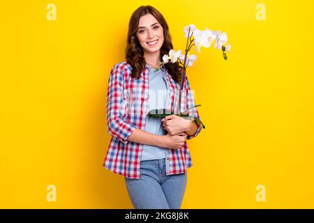 Photo de douce brillante femme porter chemise à carreaux tenant orchidée fleur pot isolé couleur jaune fond Banque D'Images