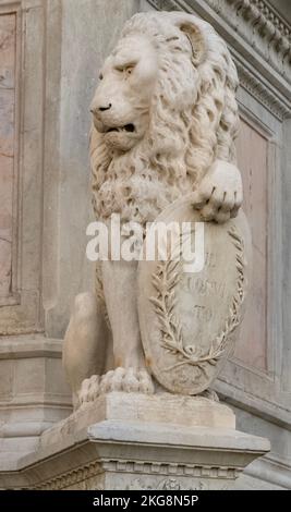 Gros plan d'un grand lion de pierre à côté du Monument à Dante Alighieri, Piazza Santa Croce, Florence, Italie Banque D'Images
