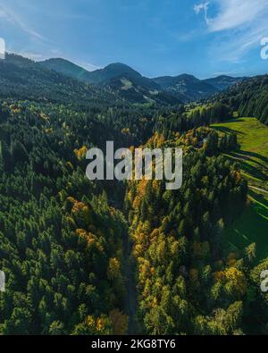 Belle nature alpine dans la vallée de Gunzesried près de Sonthofen Banque D'Images