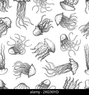 Jellyfish vintage esquisse sans couture motif ou fond de méduse vecteur de poisson. Dessin à la main ou dessin d'animaux de mer ou de faune sous-marine de l'océan, méduses avec tentacules Illustration de Vecteur