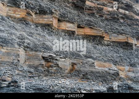 Gros plan sur la falaise à Kimmeridge Bay, Dorset, Royaume-Uni, montrant les couches de schiste bitumineux, de mudstone et de calcaire. Banque D'Images