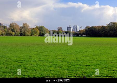 Champs de Pontcanna, Cardiff avec randonneurs à distance. Pris en novembre 2022. Automne. Banque D'Images