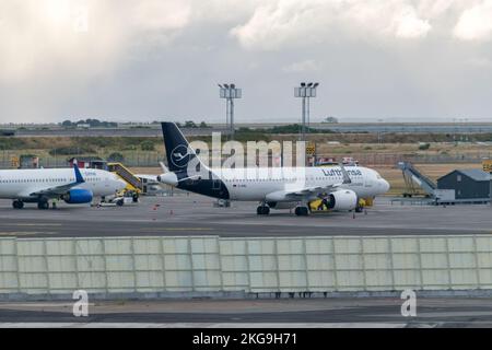 Copenhague, Danemark - 27 juillet 2022 : Airbus A320 appartient à la compagnie aérienne Lufthansa. Banque D'Images