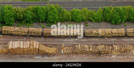 Vue aérienne, scierie Hüster, point de chargement du bois sur la ligne de chemin de fer im Ruhrtal, Wennemen, Meschede, pays aigre, Rhénanie-du-Nord-Westphalie, Allemagne, Rail Banque D'Images