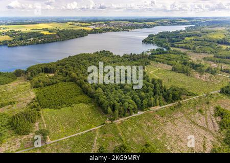 Vue aérienne, lac Möhne et forêt avec dommages forestiers, Delecke, lac Möhne, pays aigre, Rhénanie-du-Nord-Westphalie, Allemagne, mort des arbres, dendroctone du coléoptère d Banque D'Images